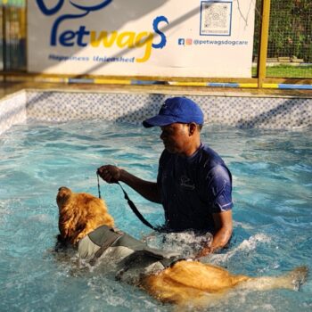 image00003
